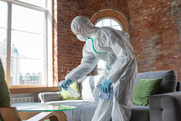 Best Industrial Mold Remediation  in Summerlin South, NV